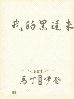 我的黑道未婚夫