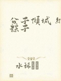 公子倾城 维和粽子封面