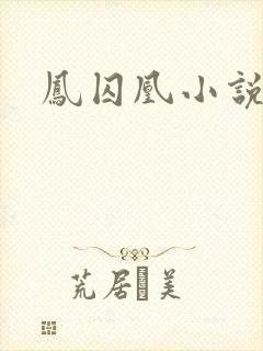 凤囚凰小说封面
