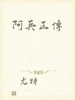 阿兵正传封面