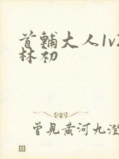 首辅大人1v2林初