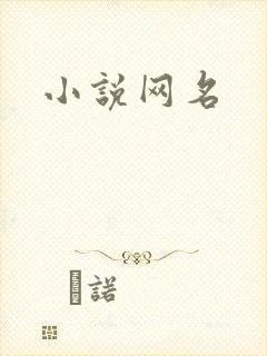 小说网名