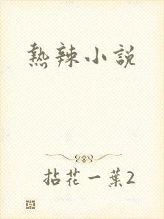 热辣小说