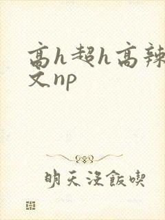 高h超h高辣h文np封面