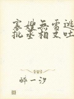 寡嫂无处逃,疯批丞相又吐血了封面