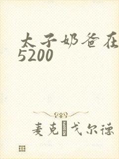 太子奶爸在花都5200封面