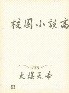 校园小说高h封面