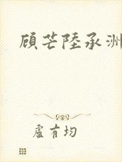 顾芒陆承洲