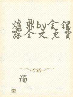 炉鼎by金银花露全文免费阅读笔趣阁
