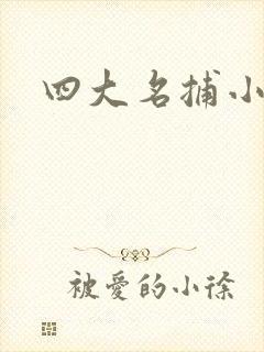 四大名捕小说