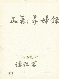 正气寻妇录封面