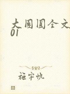 大团圆全文阅读01封面