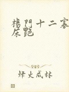 杨门十二寡妇肉床艳
