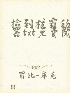 捡到校霸的遥控器txt免费阅读