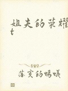 姐夫的荣耀txt