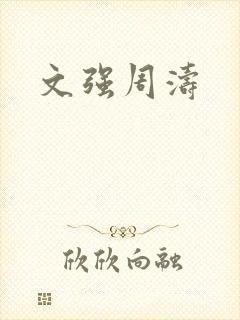 文强周涛