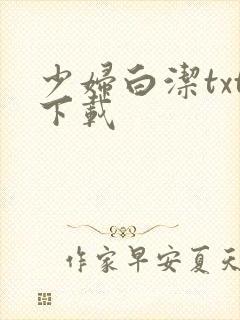 少妇白洁txt下载封面