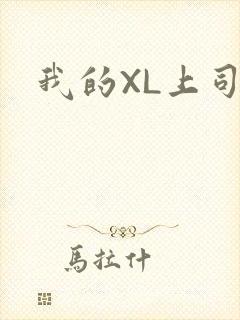 我的XL上司