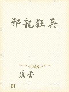 邪龙狂兵封面
