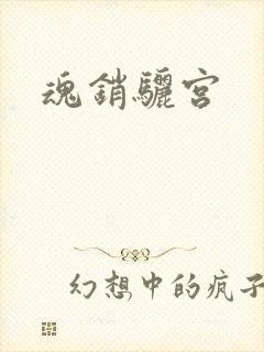 魂销骊宫