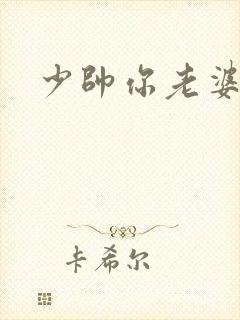 少帅你老婆