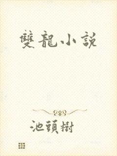 双龙小说封面