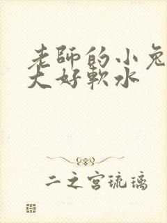 老师的小兔子好大好软水