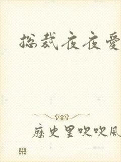 总裁夜夜爱