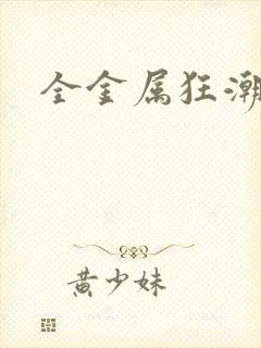 全金属狂潮小说封面