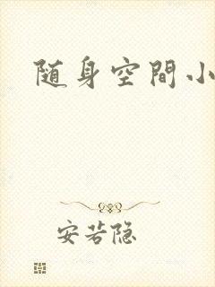 随身空间小说