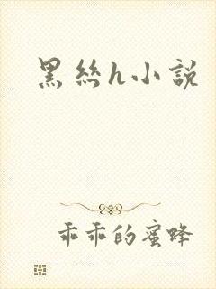 黑丝h小说