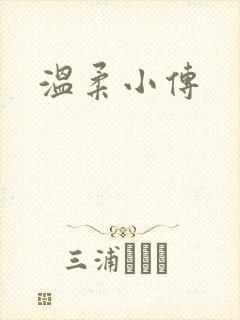 温柔小传
