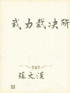 武力裁决所