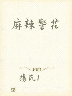 麻辣警花