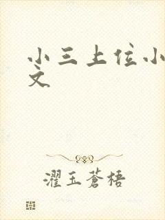 小三上位小说全文
