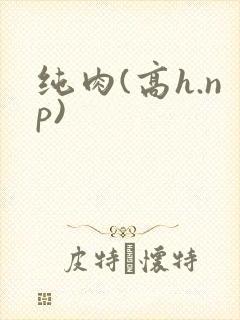 纯肉(高h.np)