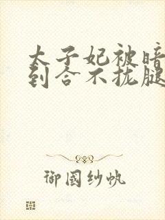 太子妃被暗卫C到合不拢腿