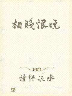 相贱恨晚封面
