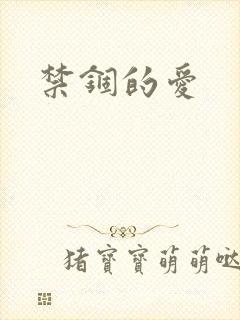 禁锢的爱封面