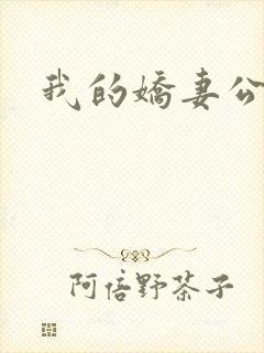 我的娇妻公务员