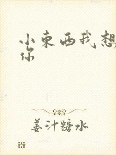 小东西我想弄坏你