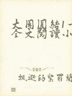 大团圆结1一6全文阅读小说