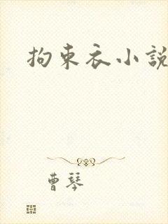 拘束衣小说