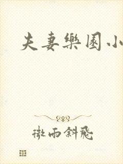 夫妻乐园小说