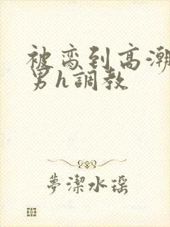 被脔到高潮的直男h调教