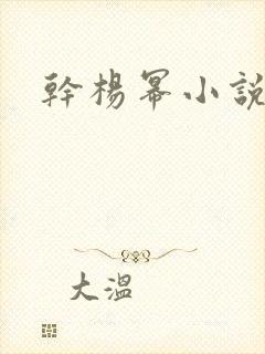 干杨幂小说