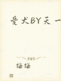 爱犬BY天一