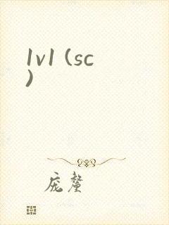 1v1 (sc)