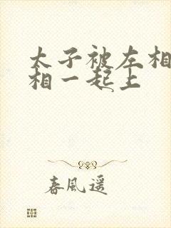 太子被左相和右相一起上