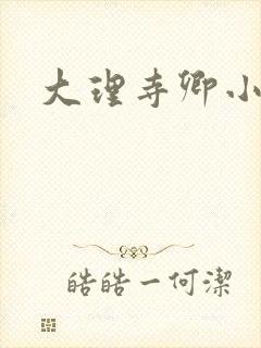 大理寺卿小说